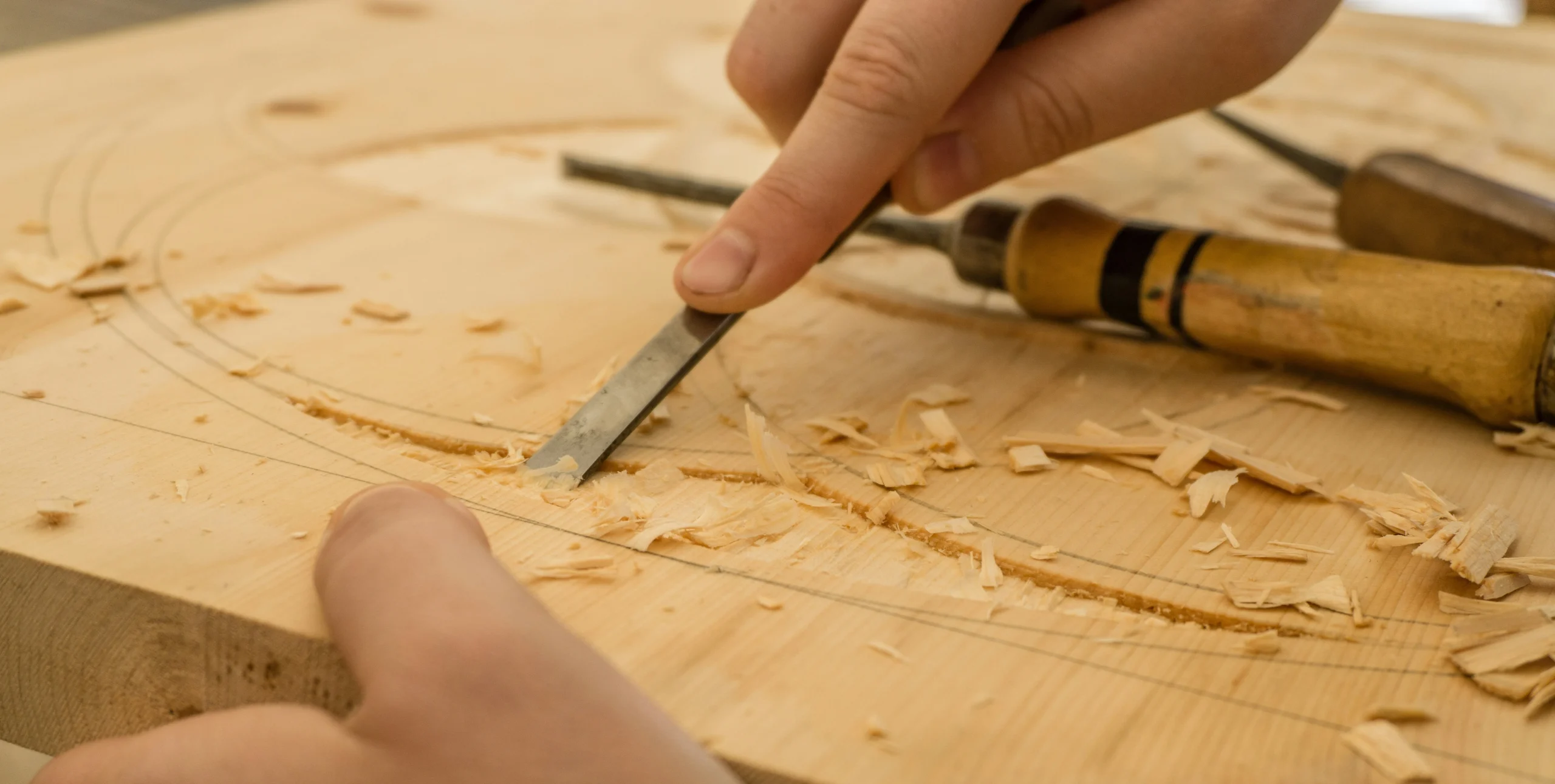 Carpenter working with timber